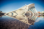 City of Arts and Sciences in Valencia, Spain.