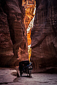 Ahorse drawn carriage going through the Siq at Petra, Jordan