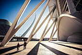 City of Arts and Sciences in Valencia, Spain.