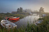 Hafen am Baaber Bollwerk im Morgennebel, Mönchgut, Insel Rügen, Mecklenburg Vorpommern, Deutschland