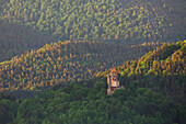 Sommerlicht trifft auf die Burg Berwartstein in Erlenbach bei Dahn, Pfälzer Wald, Rheinland-Pfalz, Deutschland
