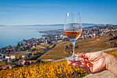 femme tenant un verre de vin rose du domaine du daley avec en fond les vignes de la region viticole du lavaux et le lac leman, region inscrite sur la liste du patrimoine mondial de l'unesco depuis 2007, grandvaux, canton de vaud, suisse