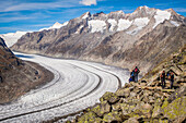 randonneurs admirant le panorama sur le glacier d'aletsch, site des alpes suisses classe au patrimoine mondial de l'unesco, bettmeralp, canton du valais, suisse