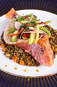red mullet and lentil vinaigrette with spring vegetables, recipe by laurent clement, cookbook of local dishes from the eure-et-loir (28), france