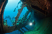 Scuba Diver at Umbria Wreck, Wingate Reef, Red Sea, Sudan