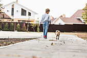 Rear view of boy walking with dog on footpath