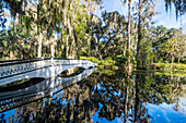 Bridge refelcting in a pond in the Magnolia Plantation outside Charleston, South Carolina, United States of America, North America