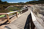 The Devil's Bath Walkway, Waiotapu Goethermal Wonderland, Rotorua, New Zealand, Oceania