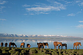 Lake Song-Kol, Kyrgyzstan, Central Asia
