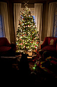Mother And Son in Front of Christmas Tree