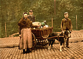 Milk Sellers, Brussels, Belgium, Photochrome, circa 1900