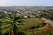 At Raboseira near Sagres, Algarve, Portugal