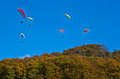 Gleitschirmflieger der Gleitschirm-Flugschule Papillon fliegen über Herbstlandschaft nahe der Wasserkuppe, nahe Poppenhausen Abtsroda, Rhön, Hessen, Deutschland