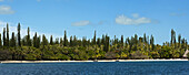 Die Kuto Bay mit Araucarien auf der Ile des Pines, Neukaledonien