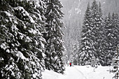 Winterwandern im tiefverschneiten Lechtal nahe Lech