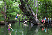 The Blue Hole in Wimberley, Texas is a popular destination for tourists and locals on hot summer days. The clear, cool water flows through cypress trees and offers a refuge from the Texas heat.