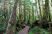 A young boy walks through the trees in an old growth forest in Pacific Rim National Park.