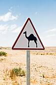 Achtung Kamele, Verkehrsschild, bei Erfoud, Sahara, Marokko