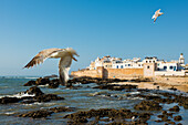 Essaouira, UNESCO Weltkulturerbe, Marokko