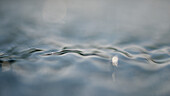 Close-up of rippled water surface