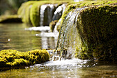 Water flowing over moss covered rocks
