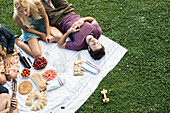 Summer picnic in the park with friends