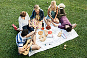 Summer picnic in the park with friends