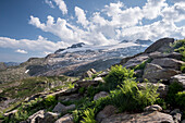 Der Basodinogletscher und Gipfel des Basodino, Lepontinische Alpen, Kanton Tessin, Schweiz