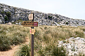Ein Hölzerner Wegweiser und im Hintergrund ein winziger Wanderer in einem Karstfeld, Puig de Massanella, Serra de Tramuntana, Norden von Mallorca, Balearen, Spanien