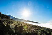 Landschaft im Vulkangebiet Teide Nationalpark Las Cañadas, Teneriffa, Blick auf den Teide (3718m), Wahrzeichen der Insel, höchster Berg Spaniens, Vulkanberg, Kanarische Inseln, Spanien