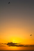 Gleitschirmfliegen über dem Atlantik auf der Westseite der Insel zum Sonnenuntergang, Puerto de Naos, La Palma, Kanarische Inseln, Spanien