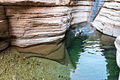 Jim Purdy, Grand Canyon, AZ