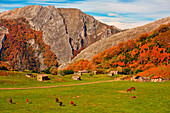 The Natural Park of Redes. Asturias.    Brañagallones in the natural park of Redes. Asturias