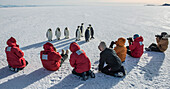 A group of people take pictures of Emperor Penguins on Ross Island, Antarctica.