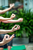 Hand mudras during a group yoga activity outdoors.
