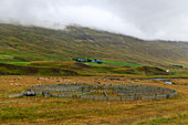 Sheep sorting pens set in a foggy valley in northern Iceland.