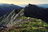 Near lake Seefeldsee, Meransen, view in the direction of Puster Valley, South Tyrol, Italy