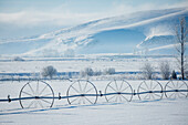 Irrigation system in snowy rural field