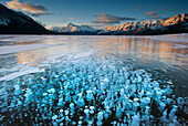 Frozen gas bubbles beneath surface of frozen lake, Abraham Lake, Canadian Rockies, Alberta, Canada