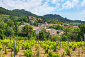 Gigondas, Dentelles de Montmirail, Vaucluse, Provence-Alpes-Côte d'Azur, Frankreich