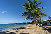 Las Terrenas Strand, Panorama, Samana, Dominikanische Republik, Antillen, Karibik