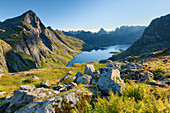 Idyllische Berglandschaft auf der Lofoteninsel Moskenesøy in der Morgensonne mit Blick auf den Forsfjorden und den Brynliskartinden (798 m, links), Lofoten, Norwegen, Skandinavien