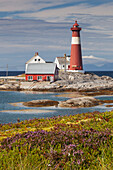 The lighthouse Tranøy Lighthouse on a sunny summer day with blooming heather in the foreground, Tranøya, Hamarøy, Nordland, Norway, Scandinavia
