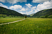 bei Menzenschwand, St Blasien, Schwarzwald, Baden-Württemberg, Deutschland