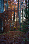 Junger Mann läuft auf einem Weg durch einen Wald, Allgäu, Bayern, Deutschland