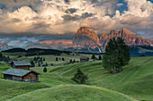 Alpe di SiusiSeiser Alm, Dolomites, South Tyrol, Italy. Sunset on the Alpe di SiusiSeiser Alm