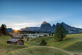 Alpe di SiusiSeiser Alm, Dolomites, South Tyrol, Italy. Sunrise on the pastures of Alpe di SiusiSeiser Alm. In the Background the peaks Sella, SassolungoLangkofel and SassopiattoPlattkofel