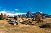 Alpe di SiusiSeiser Alm, Dolomites, South Tyrol, Italy. Autumn on the Alpe di SiusiSeiser Alm with the peaks of Sella, SassolungoLangkofel and SassopiattoPlattkofel