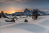 Alpe di SiusiSeiser Alm, Dolomites, South Tyrol, Italy. Sunrise on the Alpe di Siusi  Seiser Alm with the peaks of Sassolungo  Langkofel and Sassopiatto  Plattkofel