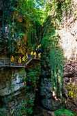 Italy, Trentino Alto Adige, Non valley, hikers in Rio Sass Canyon.